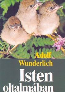 Isten oltalmában (Adolf Wunderlich)