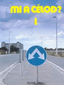 Mi a célod? 1-2. kötet (történetek gyermekeknek és az ifjúságnak)