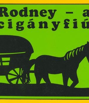 Rodney - egy cigányfiú története